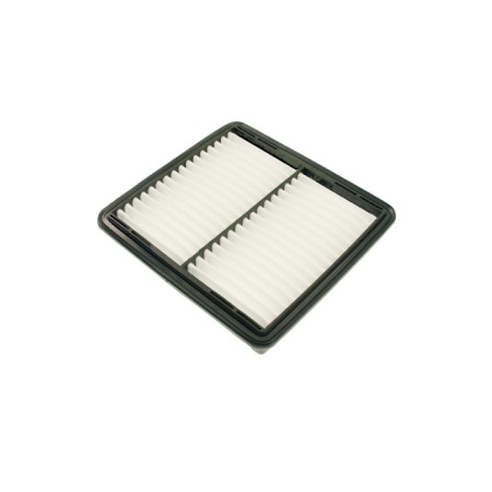 BLU-ADG02219.jpg FILTRO ARIA