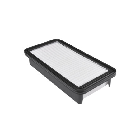 BLU-ADG02264.jpg FILTRO ARIA