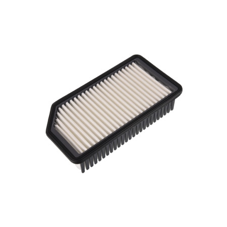BLU-ADG02293.jpg FILTRO ARIA
