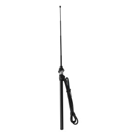40211-C-01.jpg ANTENNA TELESCOPICA - 100 CM - 21°