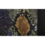 54674-S-01.jpg REPTILE, SET FODERE COORDINATE