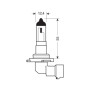 PY20d.jpg 12V LAMPADA ALOGENA BLU-XE - H10 - 42W - PY20D - 2 PZ  - SCATOLA PLAST.