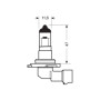 PZ20d.jpg 12V LAMPADA ALOGENA BLU-XE - H12 - 53W - PZ20D - 2 PZ  - SCATOLA PLAST.