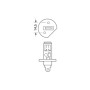 P14v5s.jpg 12V LAMPADA ALOGENA - (H1) - 100W - P14,5S - 1 PZ  - SCATOLA