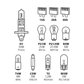 58155-C-01.jpg KIT LAMPADE DI RICAMBIO 11 PZ, ALOGENA H1 - 12V