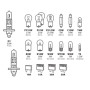 58161-S-02.jpg KIT LAMPADE DI RICAMBIO 19 PZ, ALOGENA 2X H1 - 12V