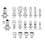 58162-S-02.jpg KIT LAMPADE DI RICAMBIO 19 PZ, ALOGENA 2X H7 - 12V