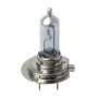 F004.jpg 12V LAMPADA ALOGENA XENON - (H7) - 100W - PX26D - 2 PZ  - SCATOLA F004.jpg 12V LAMPADA ALOGENA XENON - (H7) - 100W - PX26D - 2 PZ  - SCATOLA