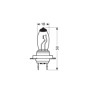 58179-S-01.jpg 12V LAMPADA ALOGENA XENIUM RACE - H7 - 55W - PX26D - 2 PZ  - SCATOLA