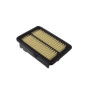 BLU-ADH22287.jpg FILTRO ARIA