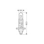 91501-S-01.jpg 12V LAMPADA ALOGENA - H1 - 55W - P14,5S - 1 PZ  - D/BLISTER