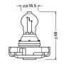 O2504-S-01.jpg 12V ORIGINAL LINE - PSX24W - 24W - PG20-7 - 1 PZ  - SCATOLA