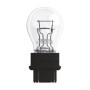 O3157-D-01.jpg 12V ORIGINAL LINE - P27/7W - 27/7W - W2,5X16Q - 1 PZ  - SFUSO