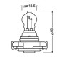 O5201-S-01.jpg 12V ORIGINAL LINE - PS19W - 19W - PG20-1 - 1 PZ  - SCATOLA