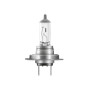 PY26d-1.jpg 12V ORIGINAL LINE - H18 - 65W - PY26D-1 - 1 PZ  - SCATOLA