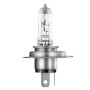 PU43t-3.jpg 12V ORIGINAL LINE - H19 - 60/55W - PU43T-3 - 1 PZ  - SCATOLA PU43t-3.jpg 12V ORIGINAL LINE - H19 - 60/55W - PU43T-3 - 1 PZ  - SCATOLA