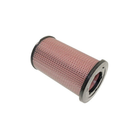 BLU-ADN12237.jpg FILTRO ARIA