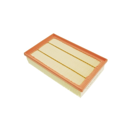 BLU-ADN12255.jpg FILTRO ARIA