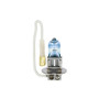 F002.jpg 12V NIGHT BREAKER UNLIMITED - H3 - 55W - PK22S - 1 PZ  - SCATOLA F002.jpg 12V NIGHT BREAKER UNLIMITED - H3 - 55W - PK22S - 1 PZ  - SCATOLA