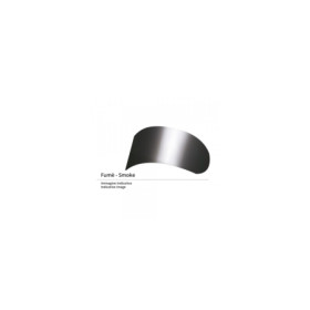 v fume.jpg VISIERA FUME PER FF320/353