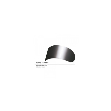 v fume.jpg VISIERA FUME PER FF320/353