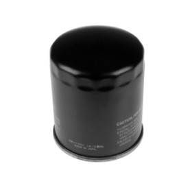 BLU-ADT32310.jpg FILTRO CARBURANTE