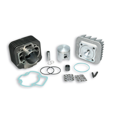 31 6926_store.jpg 316926 MALOSSI GRUPPO TERMICO SPORT PER PIAGGIO 70CC D.47 AC ARIA SPINOTTO 12 GHISA