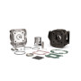 31 6901_store.jpg GR.TERMICO D.40 GHISA SP.10 MINARELLI VERTICALE