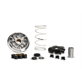51 7075_store.jpg MALOSSI 51 7075 VARIATORE MULTIVAR OMOLOGATO PER SCOOTER MOTORE 50 MINARELLI