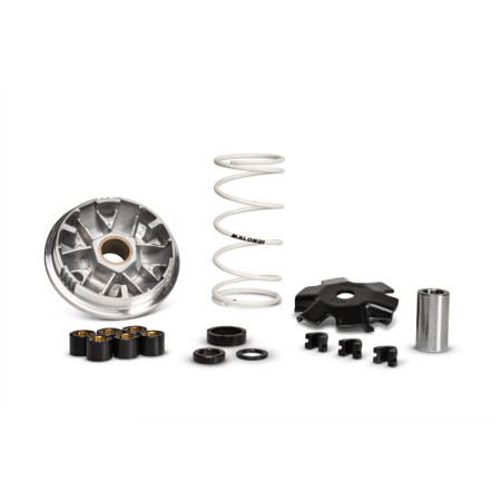 51 7075_store.jpg MALOSSI 51 7075 VARIATORE MULTIVAR OMOLOGATO PER SCOOTER MOTORE 50 MINARELLI