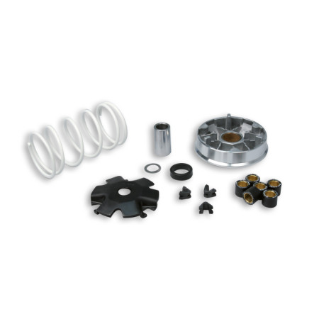 5113790_store.jpg MALOSSI VARIATORE MULTIVAR per scooter KYMCO - SYM 4T