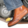 IMG_1591870245.jpg SALVASCARPE FOOT ON TUCANO