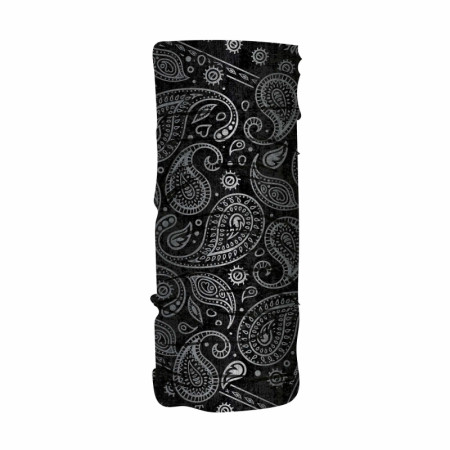 BASS PAISLEY.jpg COLLARE BASSET HOUND