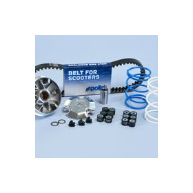 VARIATORE HONDA BALI 50-PEUGEO 241.510.jpg VARIATORE HONDA BALI 50-PEUGEO