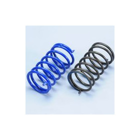 243.010.jpg RULLI 25X11 GR. 9,6