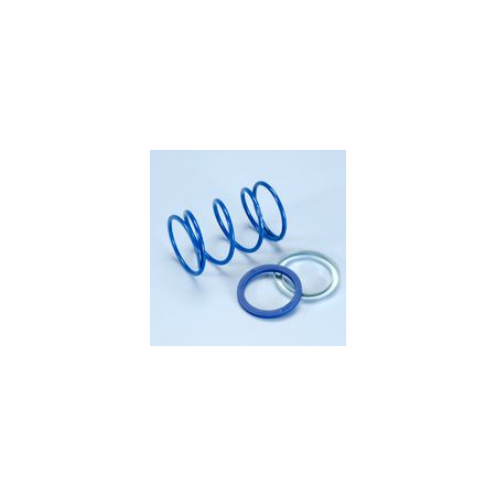 243.092.jpg MOLLA CONTR.EVO-SLIDER PIAGGIO