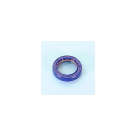 285.0137.jpg PARAOLIO PTFE MOTORE AM6 FRIZI