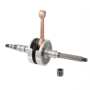 RMS-100010011.png ALBERO MOTORE RMS PER MINARELLI 50CC VERTICALE