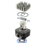 RMS-100080481.png CILINDRO RMS GILERA/PIAGGIO 70CC