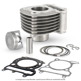 Evok-100081100.png CILINDRO EVOK SYM SYMPHONY 125CC 52,4MM 2V