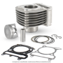 Evok-100081100.png CILINDRO EVOK SYM SYMPHONY 125CC 52,4MM 2V