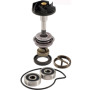 100110210.jpg KIT REVISIONE POMPA ACQUA RMS PIAGGIO BEVERLY 250-300CC