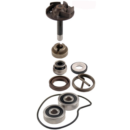 100110220.jpg KIT REVISIONE POMPA ACQUA RMS PIAGGIO BEVERLY 250CC 2004/2005