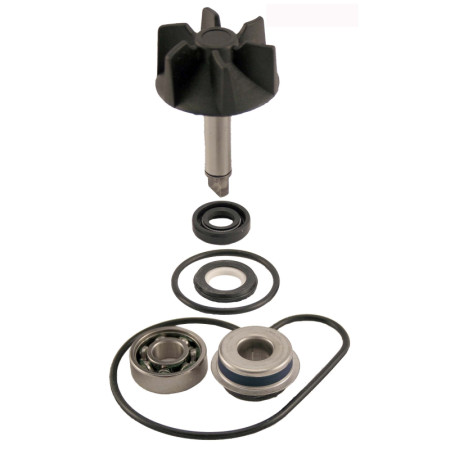 100110260.jpg KIT REVISIONE POMPA ACQUA RMS SUZUKI BURGMAN 125-250-400CC