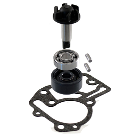 100110560.png KIT REVISIONE POMPA ACQUA RMS YAMAHA NEO'S 4T