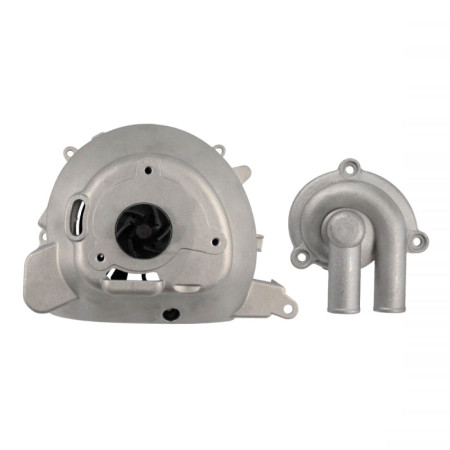 100110600.jpg POMPA ACQUA COMPLETA RMS PIAGGIO BEVERLY 125CC
