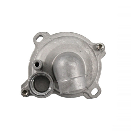 100110650.jpg POMPA ACQUA COMPLETA RMS T-MAX 530CC