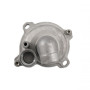 100110650.jpg POMPA ACQUA COMPLETA RMS T-MAX 530CC