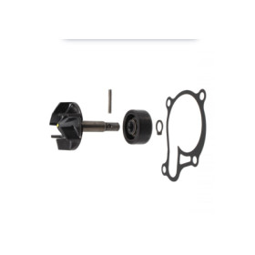 100110730.jpg KIT REVISIONE POMPA ACQUA RMS YAMAHA MT03