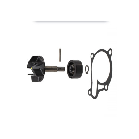 100110730.jpg KIT REVISIONE POMPA ACQUA RMS YAMAHA MT03